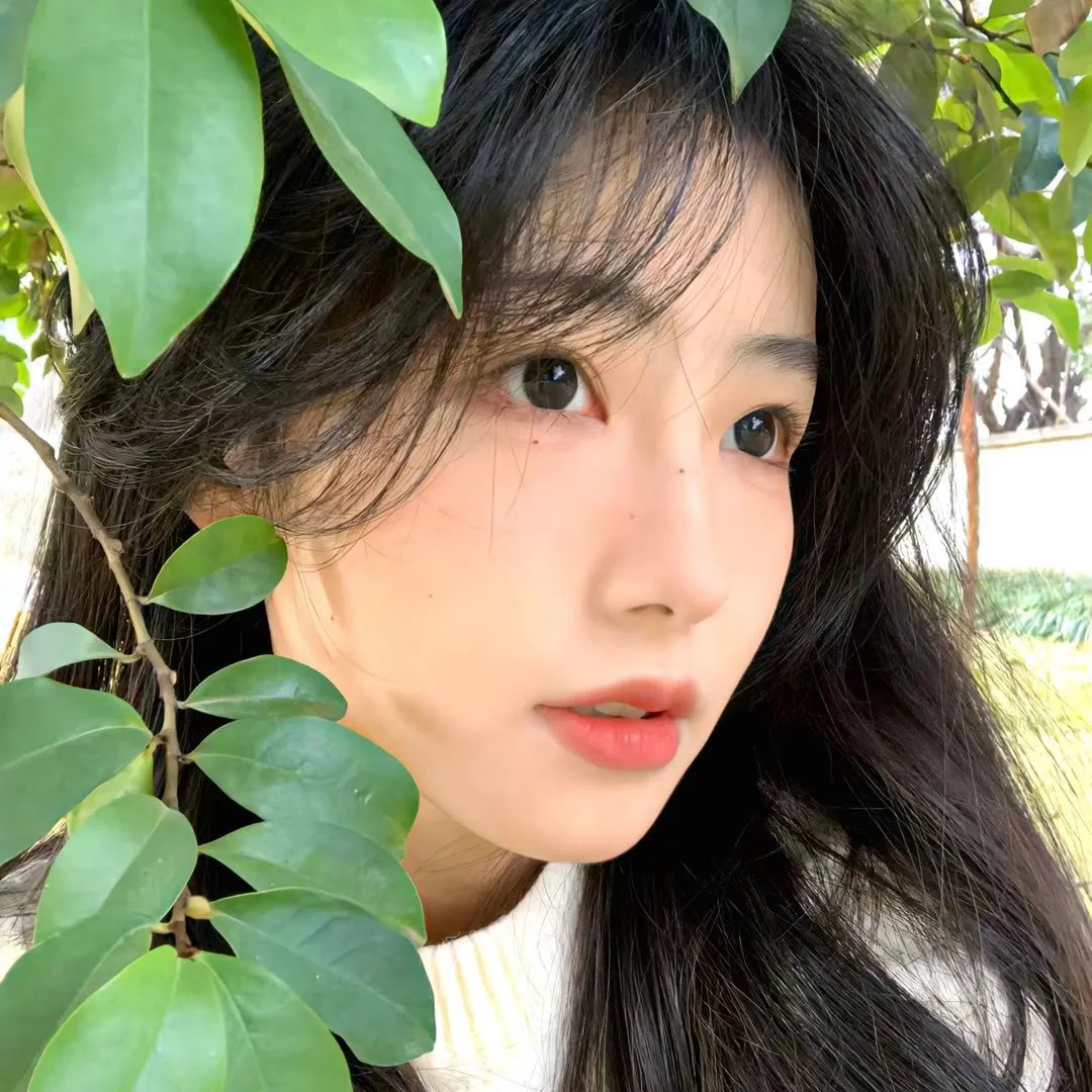 她是朕的掌上明珠