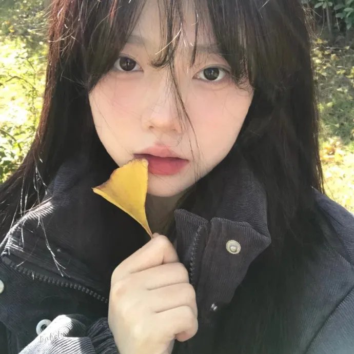 女人的面孔